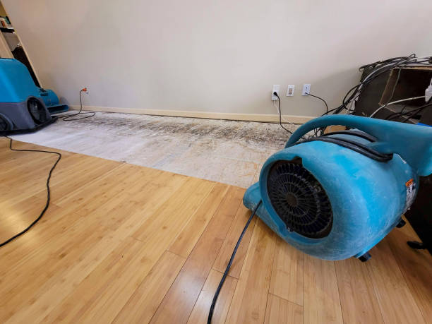 Professional Basement Flood Cleanup technician working in Skyforest, CA